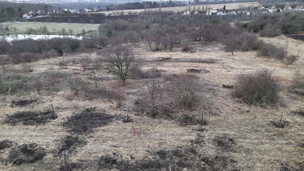 Help us clear wood chips after shrub pruning around Asuan reservoir