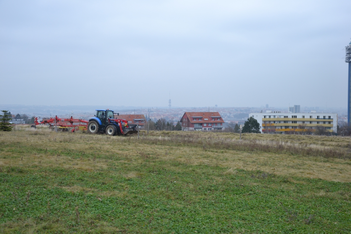 The last mowing at Dívčí hrady