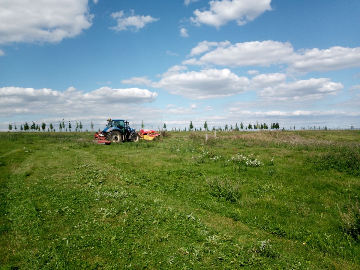 Autumn hay cutting at Dívčí Hrady