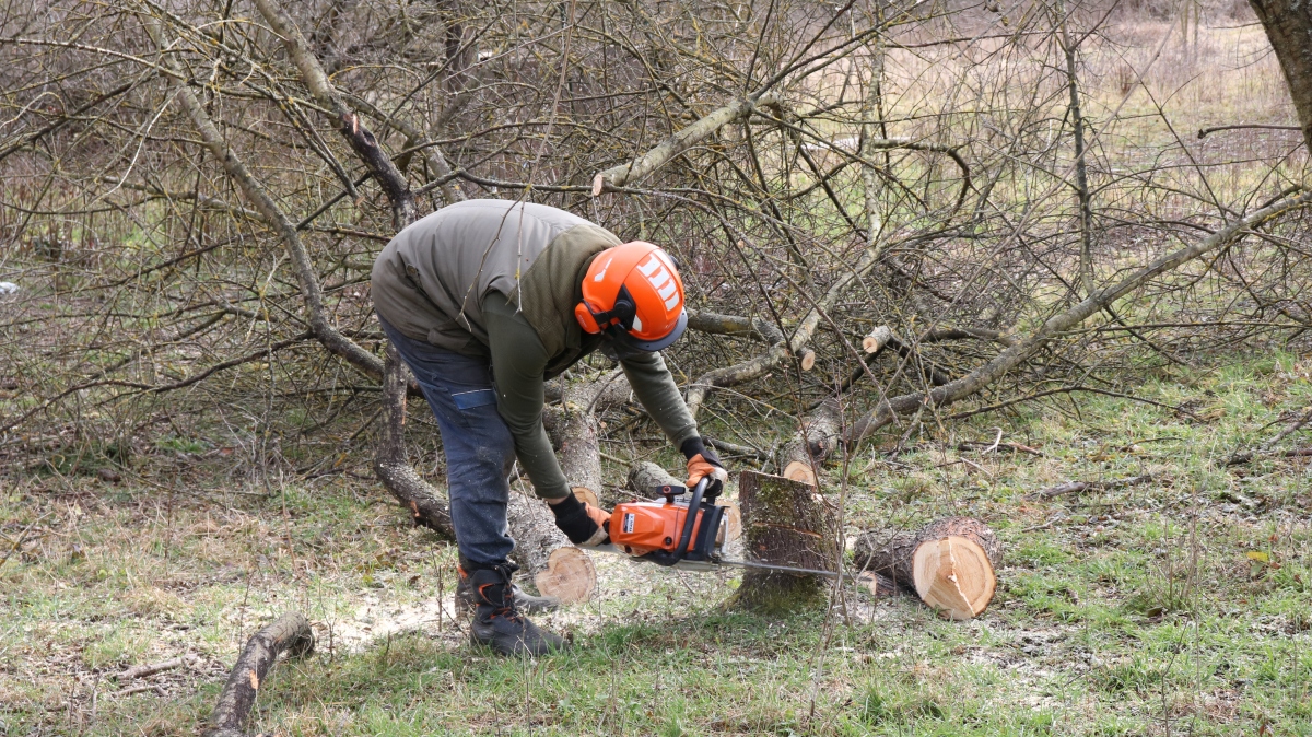 Even in winter, we do everything for our forest-steppe ideal